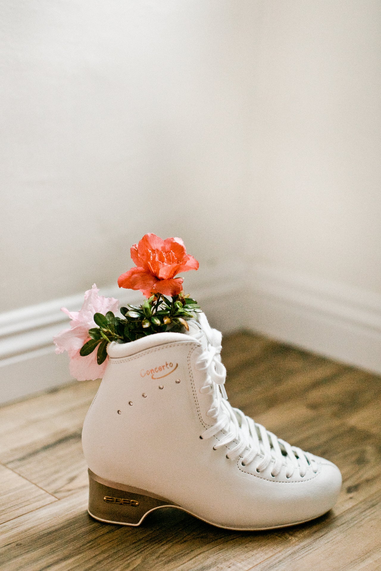 Shop Ice | Dream Skates